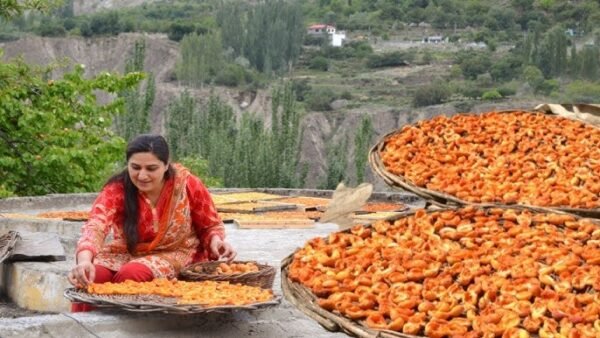 Locally dried apricots