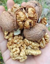 Local Walnuts